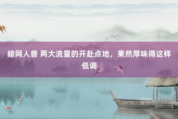暗网人兽 两大流量的开赴点地，果然厚味得这样低调