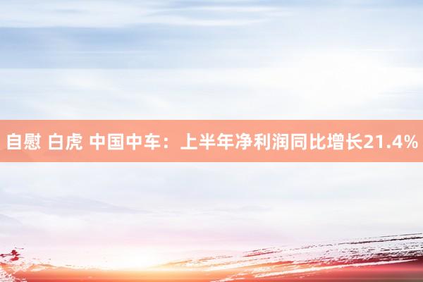 自慰 白虎 中国中车：上半年净利润同比增长21.4%