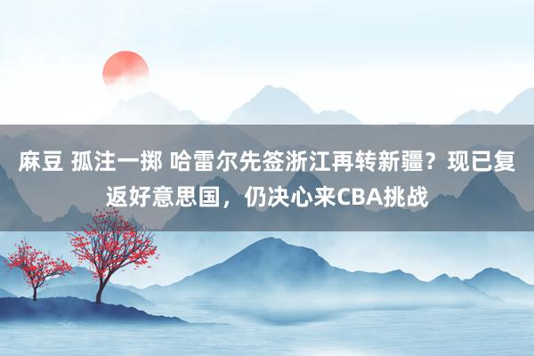 麻豆 孤注一掷 哈雷尔先签浙江再转新疆？现已复返好意思国，仍决心来CBA挑战