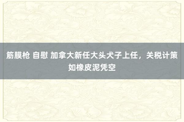 筋膜枪 自慰 加拿大新任大头犬子上任，关税计策如橡皮泥凭空