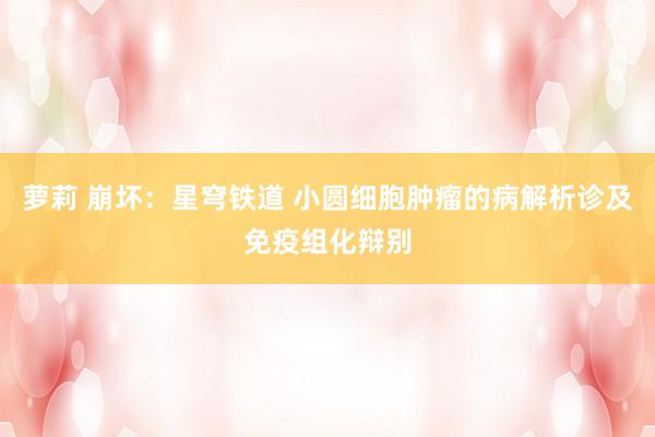 萝莉 崩坏：星穹铁道 小圆细胞肿瘤的病解析诊及免疫组化辩别