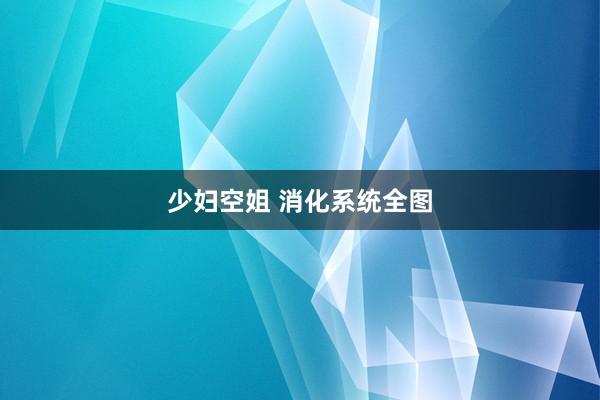 少妇空姐 消化系统全图